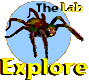 The Lab
